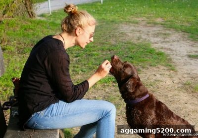 线上体彩合规解读：Evolution真人的法律咨询与风险防范